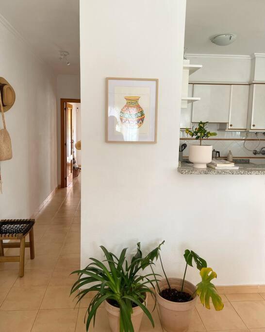 Apartamento Mediterraneo Entre Vinedos Jesus Pobre Esterno foto